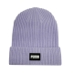 Ribbed Classic Cuff Beanie