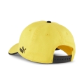 BVB ESS Cap