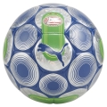 PSV Culture+ Ball