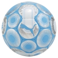 OM Culture+ Ball