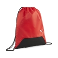 teamGOAL Gym Sack