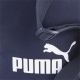 PUMA Phase Portable