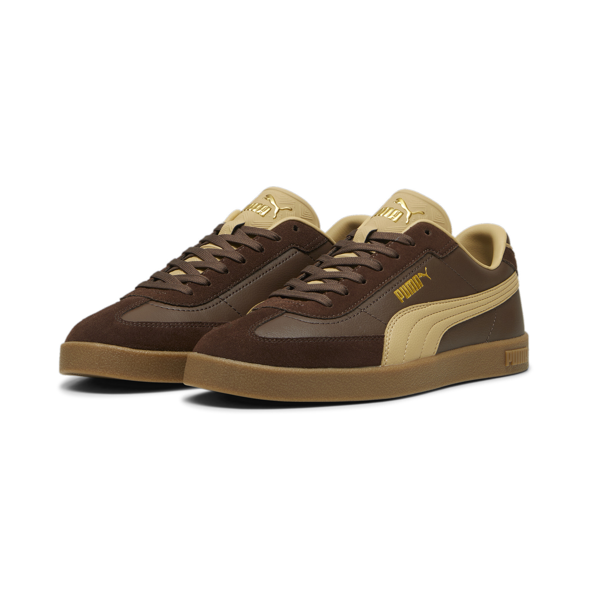 espresso-brown-sand-dune-puma-gold