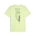 Men's Graphic Illustration Tee Q4