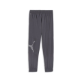 Train All Day Big CAT Woven Pant