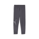 Train All Day Big CAT Woven Pant