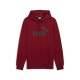 ESS Big Logo Hoodie FL (s)