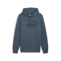 ESS Big Logo Hoodie FL (s)