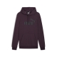 ESS Big Logo Hoodie TR (s)