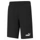 ESS Shorts 10"