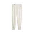 ESS+ 2 Col Logo Pants FL cl