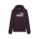 ESS Logo Hoodie FL (s)