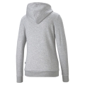 ESS Logo Hoodie TR