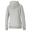 ESS Small Logo Full-Zip Hoodie FL