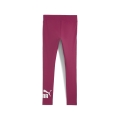 ESS Logo Leggings (S)