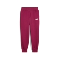 ESS Sweatpants FL cl (s)