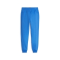 ESS Logo Pants FL cl B