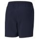 ACTIVE Woven Shorts B