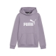 ESS Logo Hoodie FL G