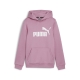 ESS Logo Hoodie FL G