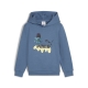 PUMA X TROLLS Hoodie TR Herren Kids