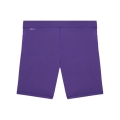 LIGA Baselayer Short Tight