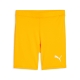 LIGA Baselayer Short Tight