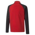 teamLIGA 1/4 Zip Top Jr