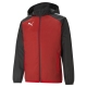 PUMA teamLIGA All Weather Jacket Herren Football