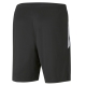 teamLIGA Training Shorts