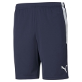 teamLIGA Training Shorts