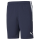 teamLIGA Training Shorts