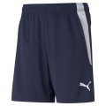 teamLIGA Training Shorts Jr