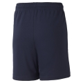 teamLIGA Training Shorts Jr