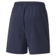 teamLIGA Sideline Shorts