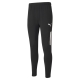 PUMA teamLIGA Training Pants Pro Herren Football