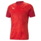 PUMA teamCUP Training Jersey Herren Football