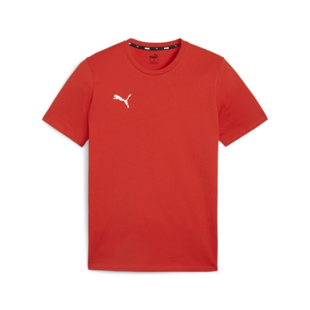 PUMA teamGOAL Casuals Tee Herren Football