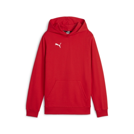 PUMA teamGOAL Casuals Hoody Jr Herren Football