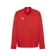 PUMA teamGOAL Training Jacket Herren Football