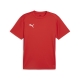 PUMA teamGOAL Jersey Herren Football