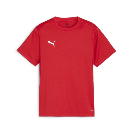 PUMA teamGOAL Jersey Jr Herren Football