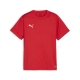 PUMA teamGOAL Jersey Jr Herren Football