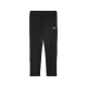 PUMA teamGOAL Training Pant Wmn Damen Football