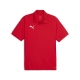 PUMA teamGOAL Polo Herren Football