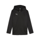 PUMA teamFINAL Training Fleece Jkt Jr Football