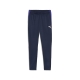 PUMA IndividualLIGA Training Pants Herren Football