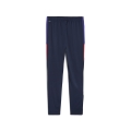 IndividualLIGA Training Pants