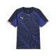 PUMA individualLIGA Graphic Jersey Herren Football