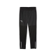 PUMA IndividualWinterized Training Pant Herren Football